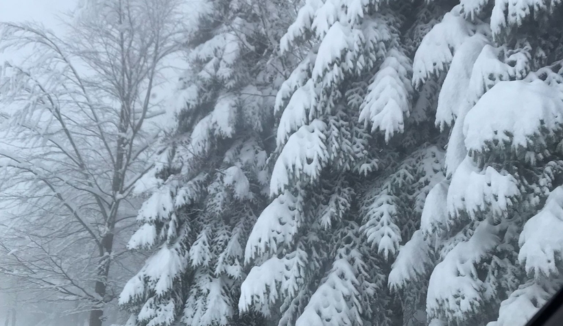 Kar yağdı yaylalara akın ettiler
