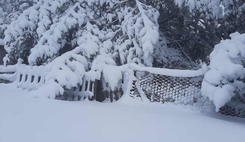 Kar yağdı yaylalara akın ettiler