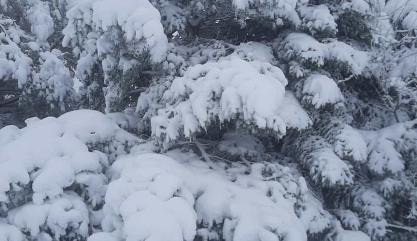 Kar yağdı yaylalara akın ettiler