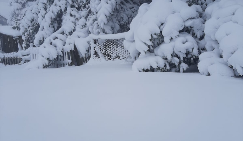 Kar yağdı yaylalara akın ettiler
