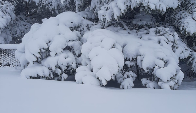 Kar yağdı yaylalara akın ettiler
