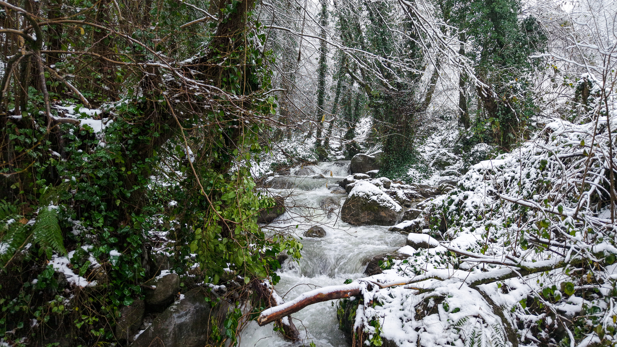 Kar yağışı sonrası Sapanca Gölü'nde son durum