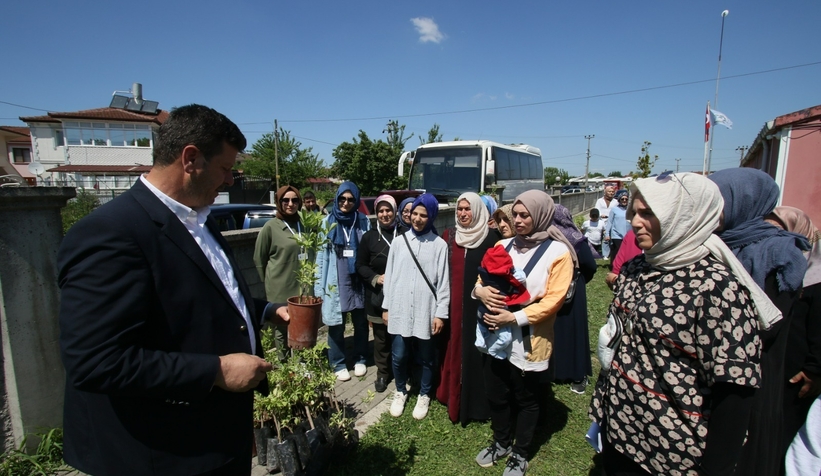Kara Mürver projesinde 3 bin 645 fide dağıtıldı