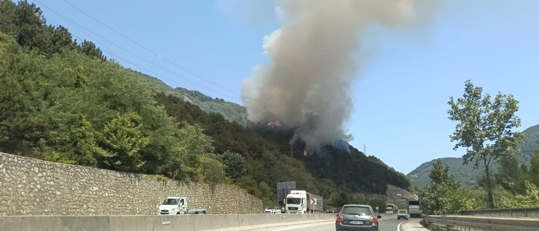 Karaçam'da orman yangını