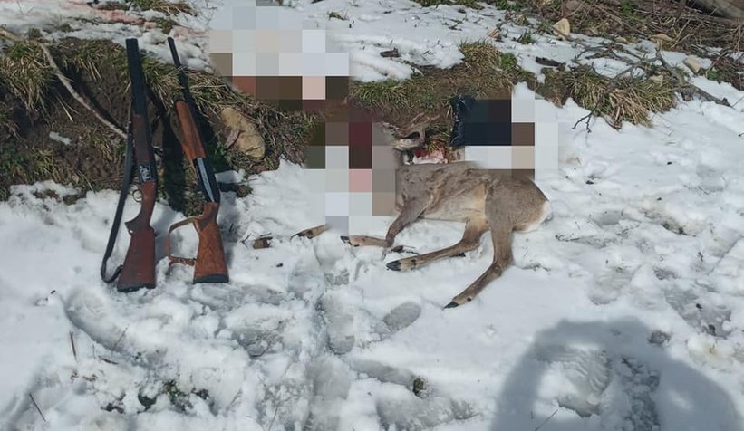 Karacaya eti için öldüren caniler yakalandı