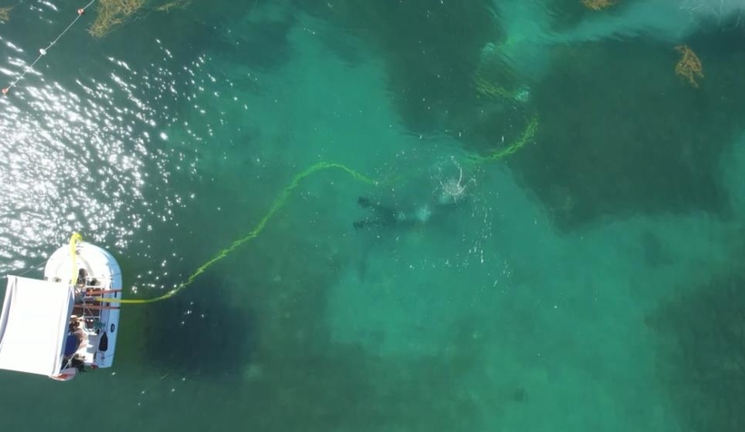 karadeniz-de-su-alti-kazasivndem0kvcg