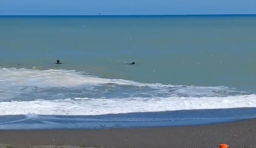 Karadeniz'e giren 16 yaşındaki çocuk kayboldu