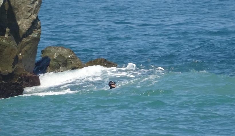 Karadenizde kaybolan Hasan Can'ın cesedi bulundu
