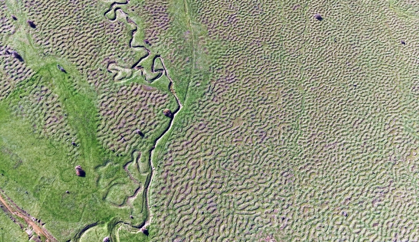 karagol-yaylasi-nda-hayran-birakan-fotograflarymt4rug1rg