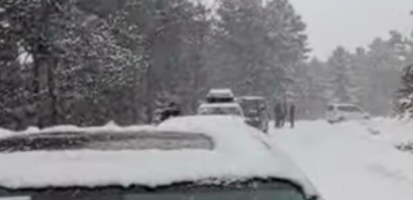 Karagöl Yaylası'nda mahsur kalanlar kurtarıldı