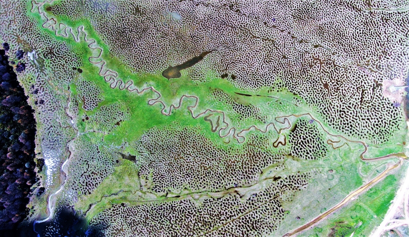 karagol-yaylasi-nin-imara-acildigi-iddialari-vardi-musaade-edilmeyecekqwlutwvaaf