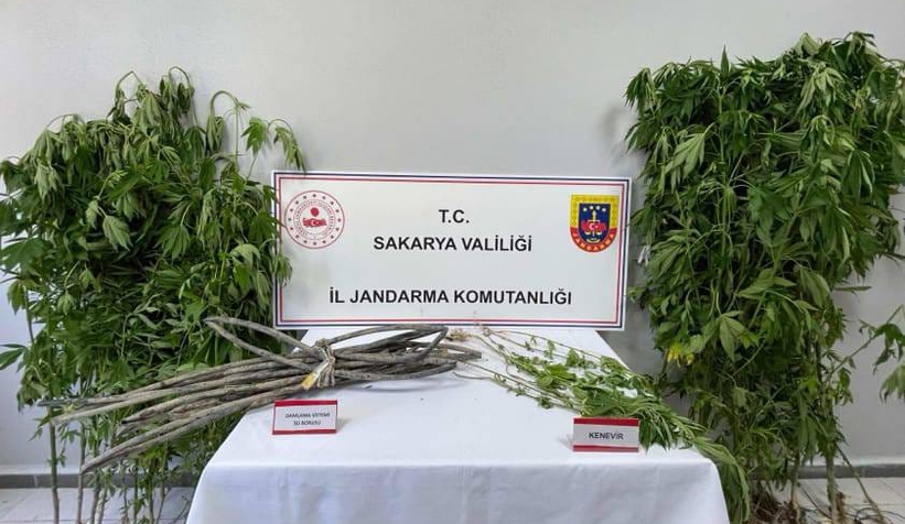 Karapürçek'te uyuşturucu operasyonu