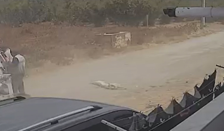 Karapürçek’te çöp kamyonu iki köpeği ezdi