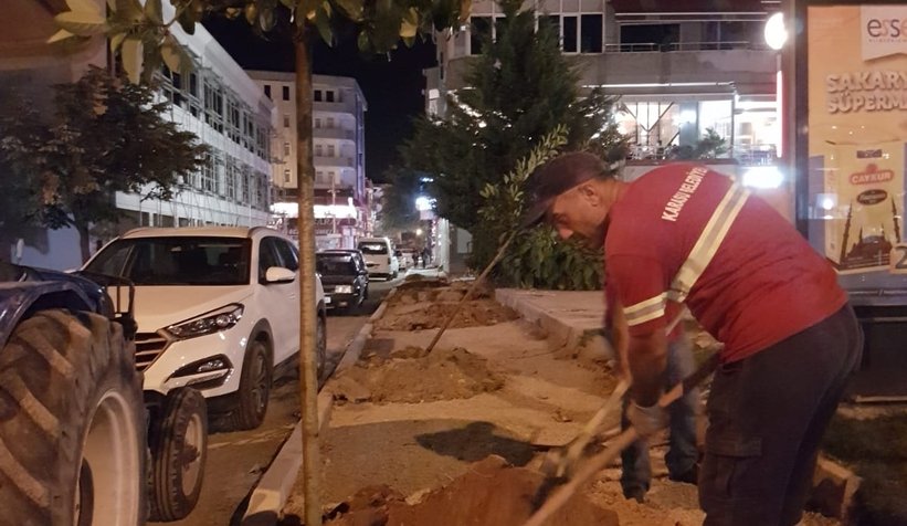 Karasu'da ağaçlandırma seferberliği