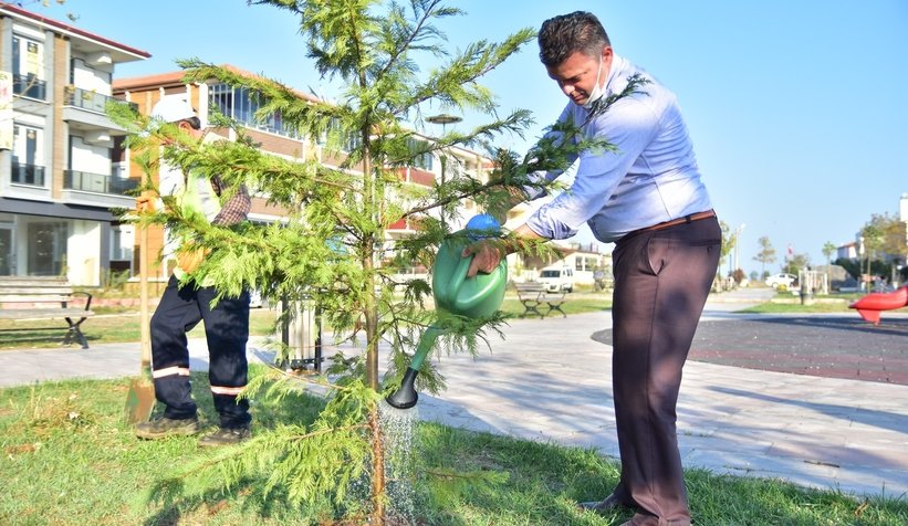 Karasu'da ağaçlandırma seferberliği