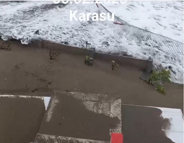 karasu-da-deniz-caddeye-kadar-geldibvntq0hjwk