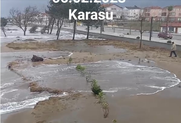 karasu-da-deniz-caddeye-kadar-geldibvntq0hjwk