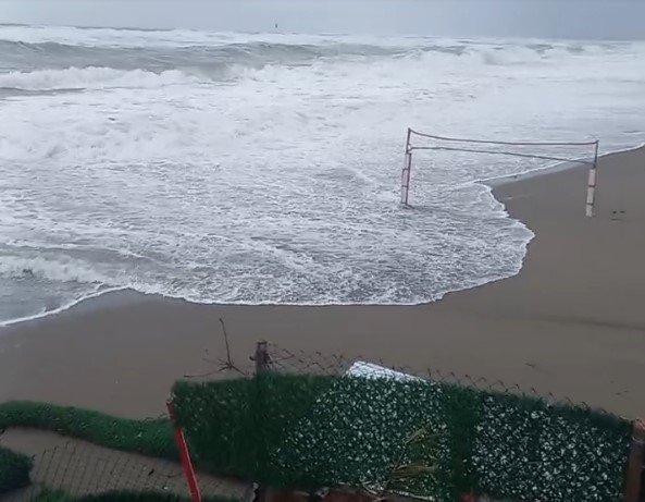 karasu-da-deniz-caddeye-kadar-geldibvntq0hjwk