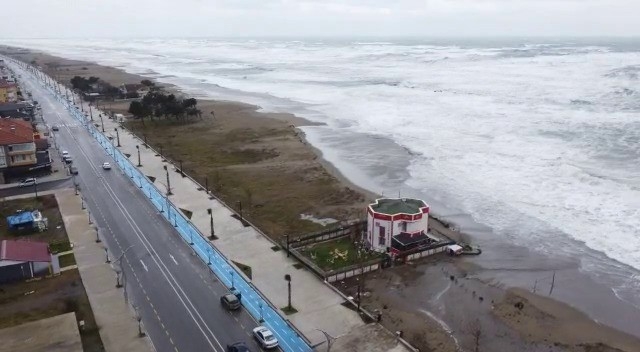karasu-da-deniz-caddeye-kadar-geldibvntq0hjwk