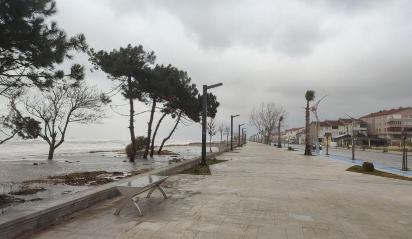 karasu-da-deniz-caddeye-kadar-geldibvntq0hjwk