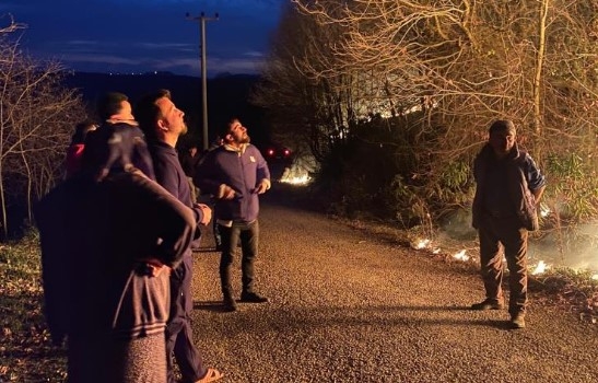 Karasu'da orman yangını