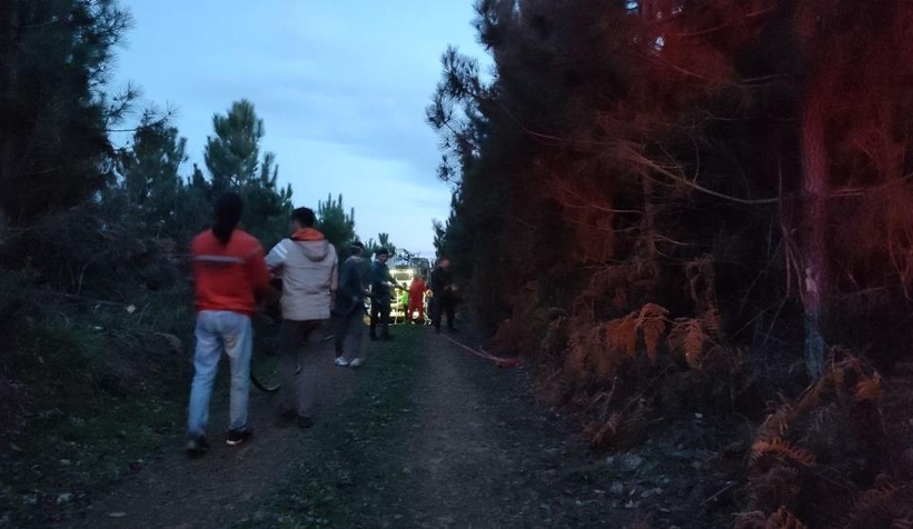 Karasu'da orman yangını