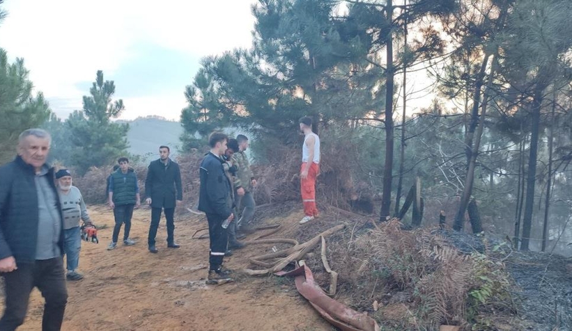 Karasu'da orman yangını