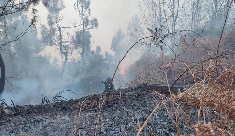 Karasu'da orman yangını