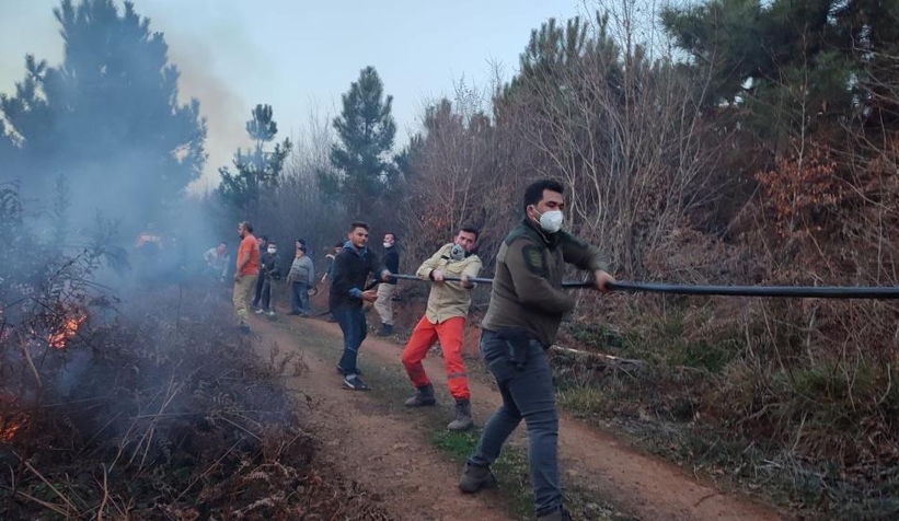 Karasu'da orman yangını