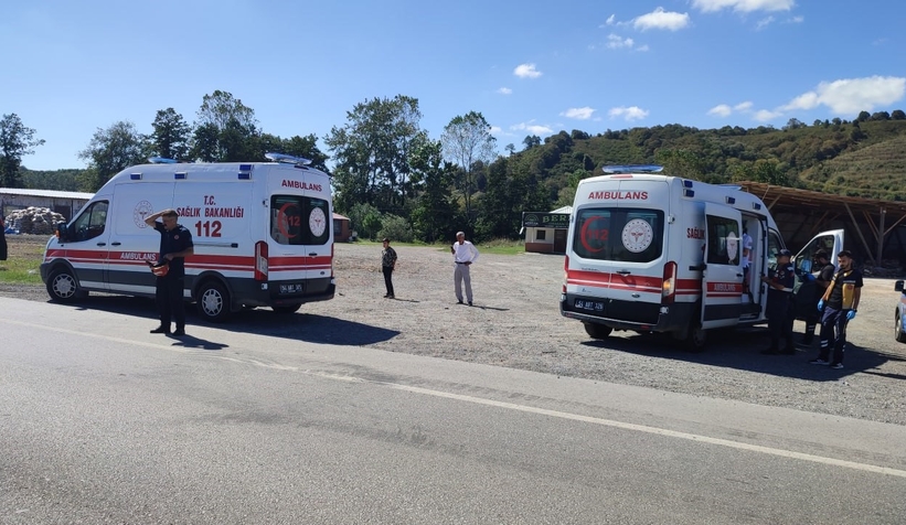 Karasu'da refüje yatan otomobilde bir kişi yaralandı