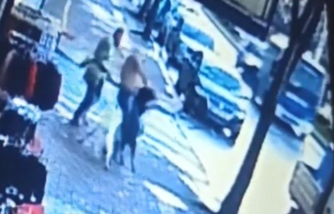 Karasu'da sokak köpekleri 4 kişiyi ısırdı