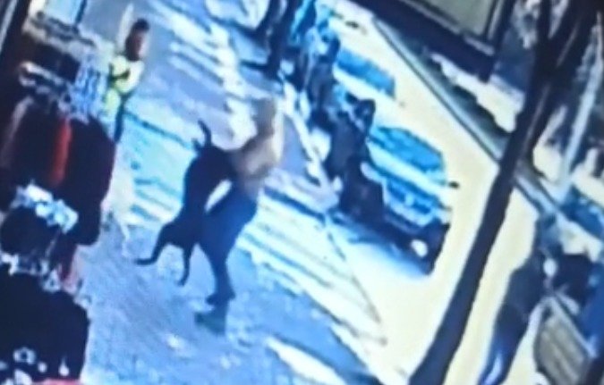 Karasu'da sokak köpekleri 4 kişiyi ısırdı