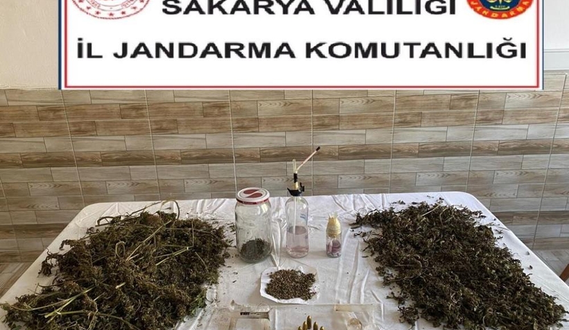 Karasu'da uyuşturucu operasyonu: 1 gözaltı