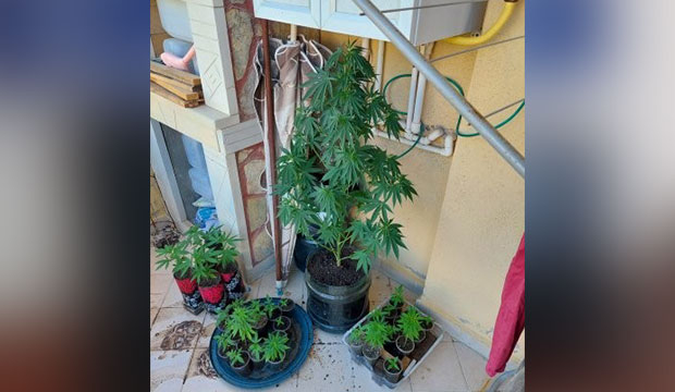 Karasu'da uyuşturucu operasyonu 