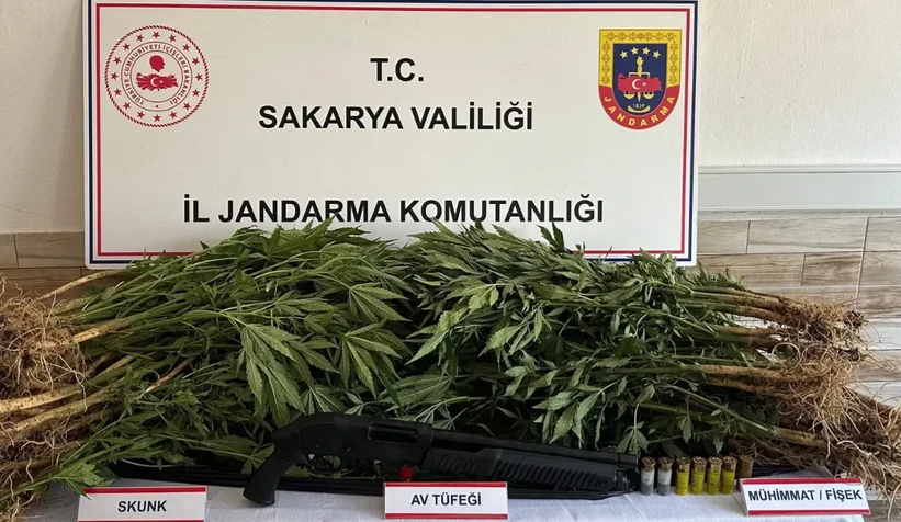 Karasu'da uyuşturucu operasyonu