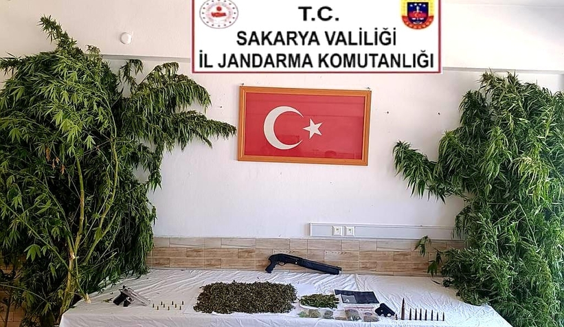 Karasu'da uyuşturucu operasyonu