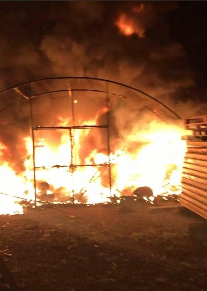 Karasu'da yangın; Kundaklama şüphesi