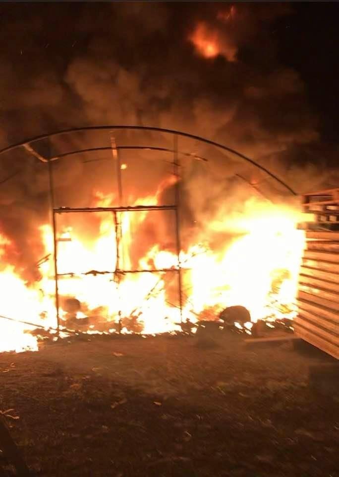 Karasu'da yangın; Kundaklama şüphesi