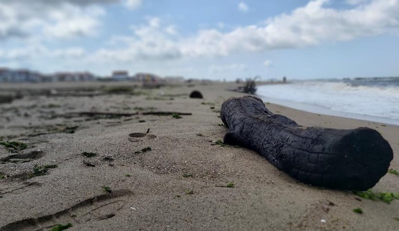 Karasu sahili kütük, dal parçalarıyla doldu