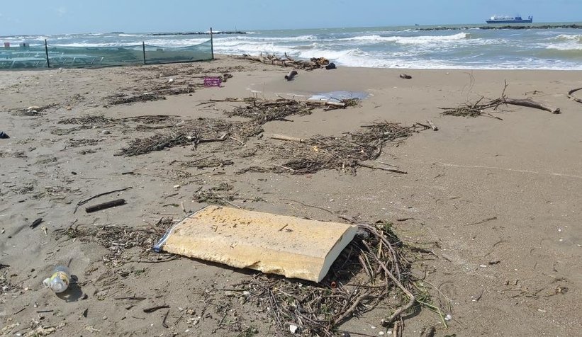 Karasu sahili kütük, dal parçalarıyla doldu