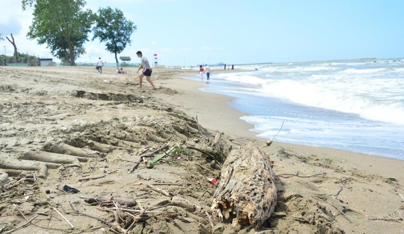 Karasu sahili kütük, dal parçalarıyla doldu