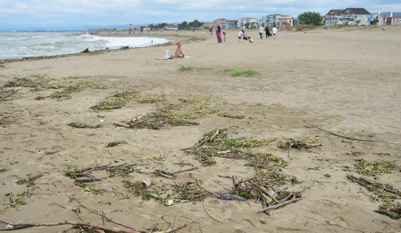 Karasu sahili kütük, dal parçalarıyla doldu