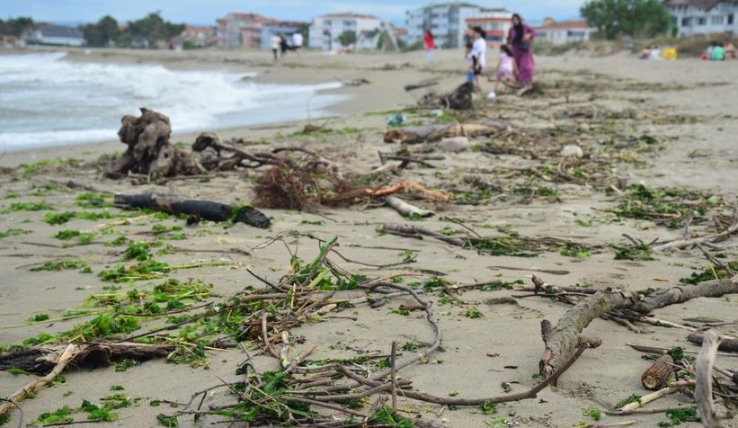 Karasu sahili kütük, dal parçalarıyla doldu