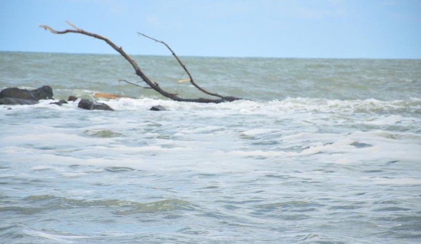 Karasu sahili kütük, dal parçalarıyla doldu