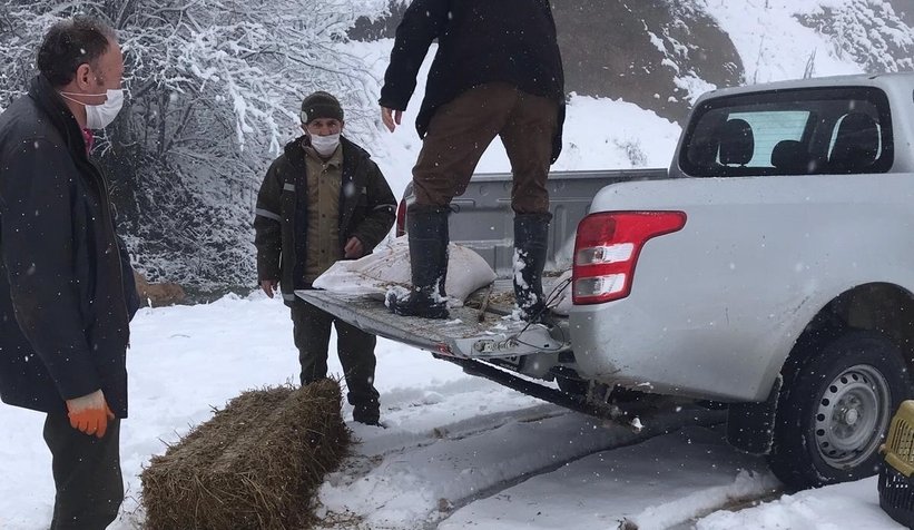 Karda aç kalmamaları için ormana yemler bırakıldı