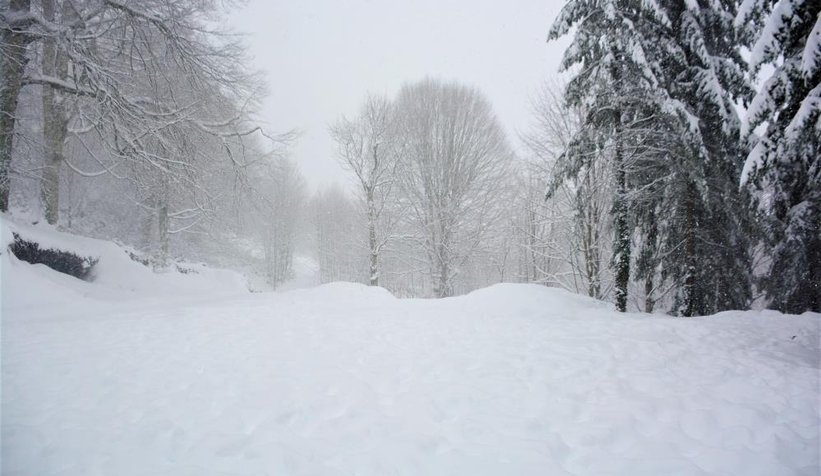 Karda doyasıya eğlendiler