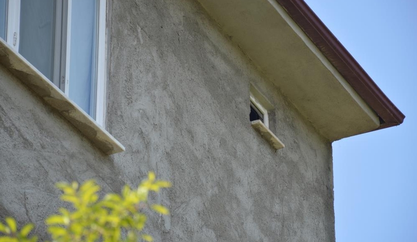 Kargalar duşakabini dallarlar doldurdu