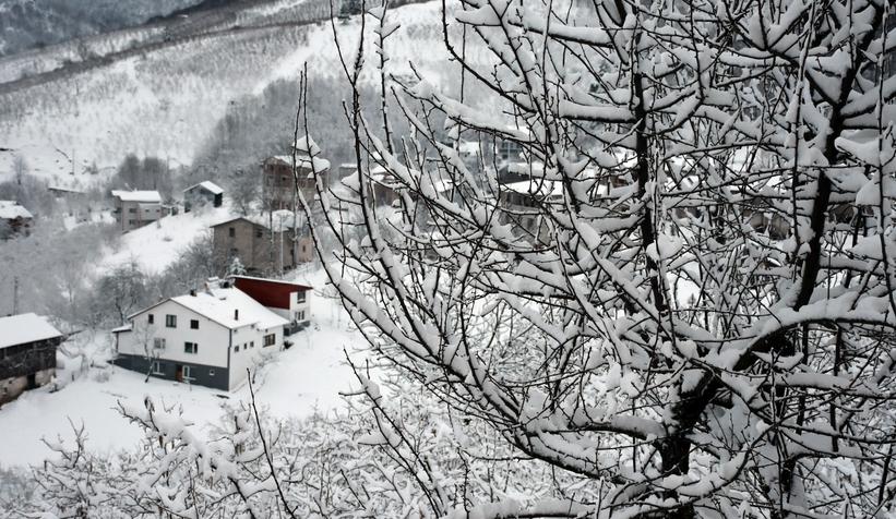 Karın tadını bu kez çocuklar değil, yetişkinler çıkardı