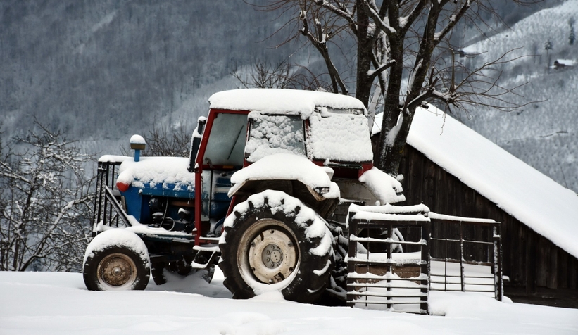Karın tadını bu kez çocuklar değil, yetişkinler çıkardı