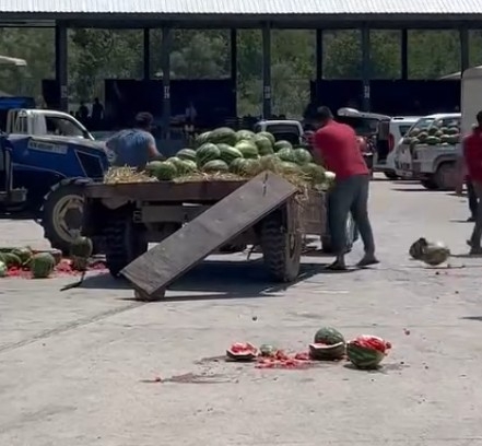 Karpuz para etmedi üretici isyan etti